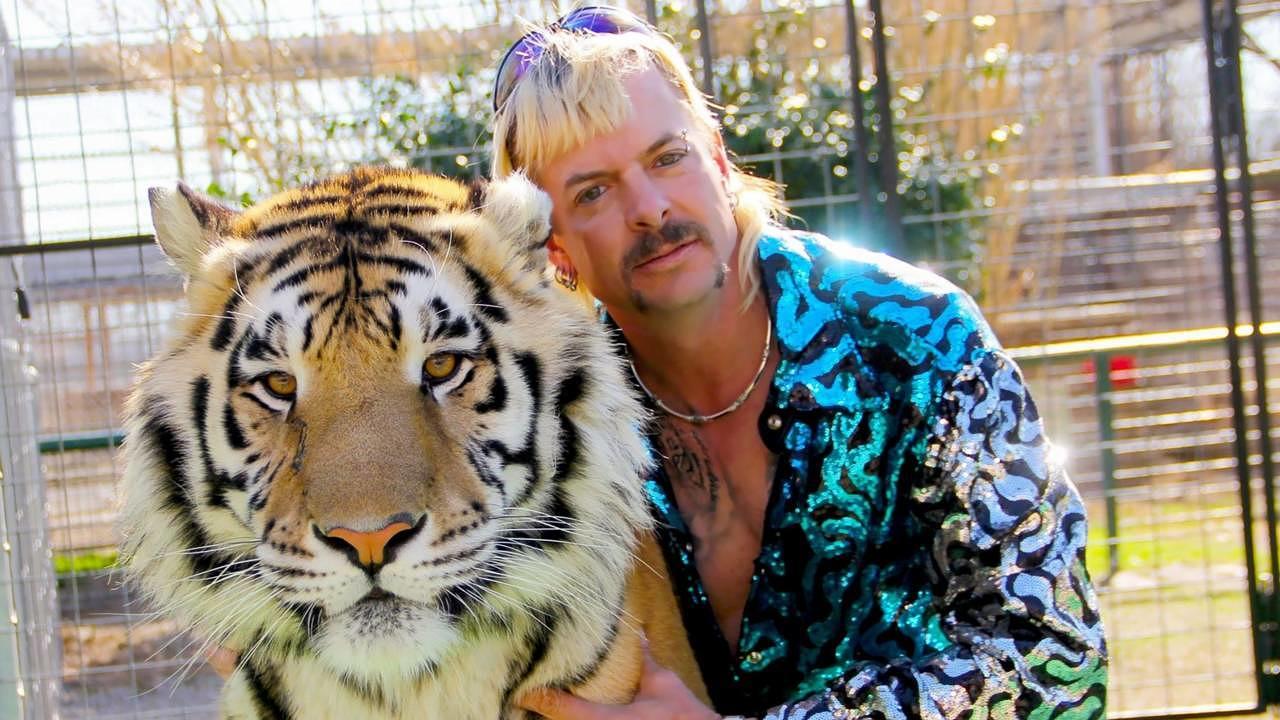Wie „Making A Murderer“ im Zoo: „Großkatzen und ihre Raubtiere“ auf Netflix